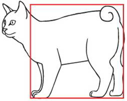 Стандарт породы кошек курильский бобтейл thumbnail