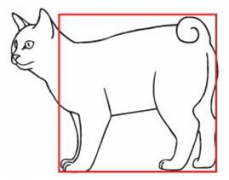 Курильский бобтейл кошки стандарт породы thumbnail